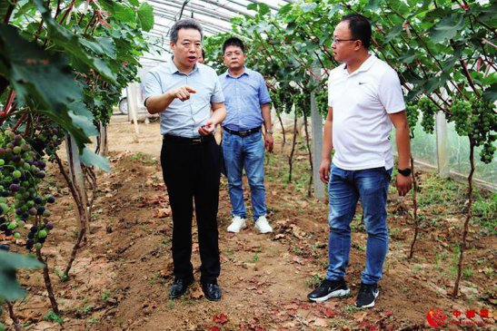 金杯、银杯 不如脱贫户和消费者的口碑