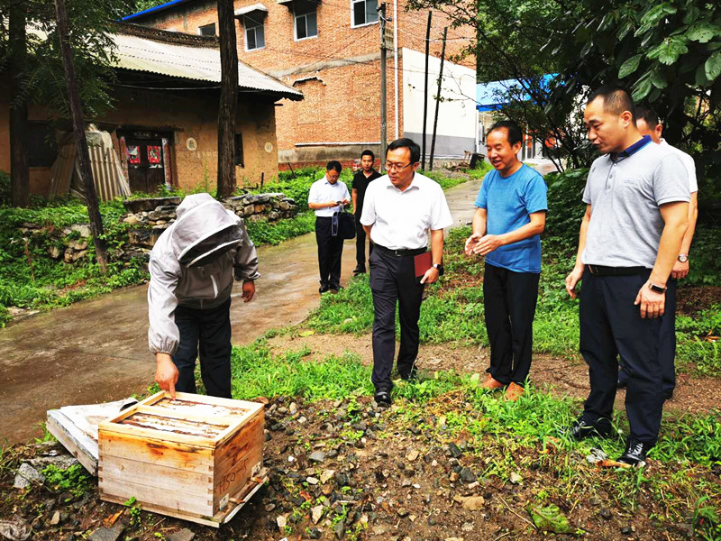 <b>陕西华州区委书记王海峰深入杏林镇调研山区防汛与扶贫产业</b>