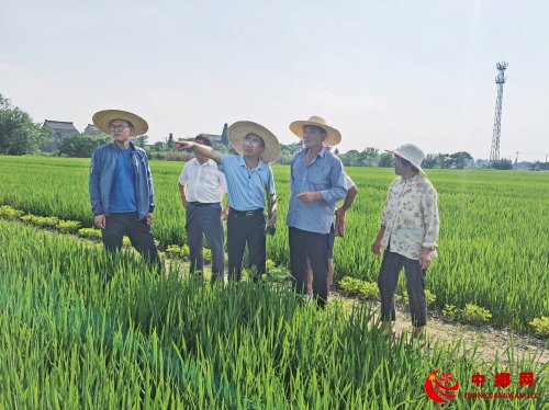 “三合一”模式培育家庭农场转型“主力军” “三合一”模式培育家庭农场转型“主力军”