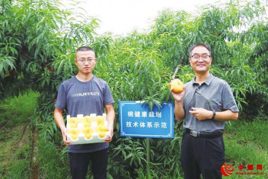 构建产业植保技术体系 确保健康果品质量安全