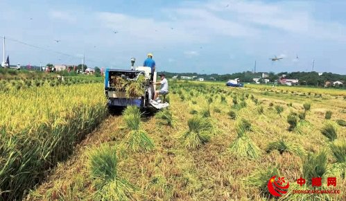农机奖补层层加 农户购机实惠多 农机奖补层层加 农户购机实惠多