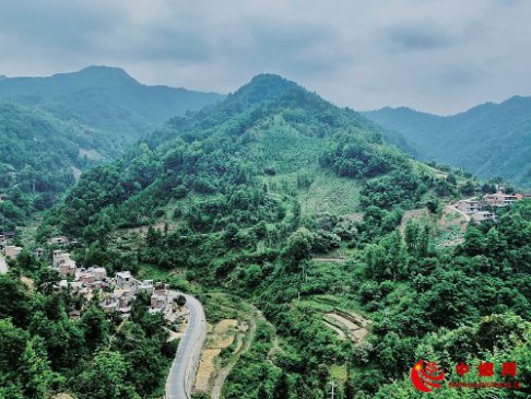 打通上行路　种出丰收果