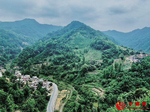 打通上行路 种出丰收果 打通上行路 种出丰收果