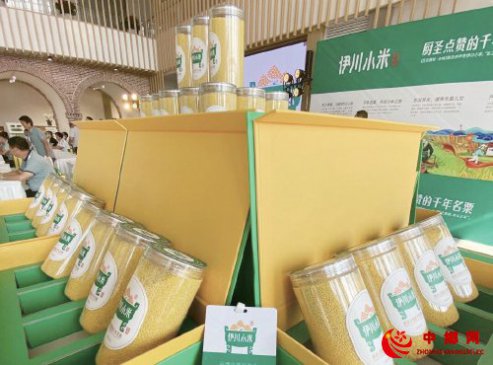 河南“伊川小米”品牌战略发布