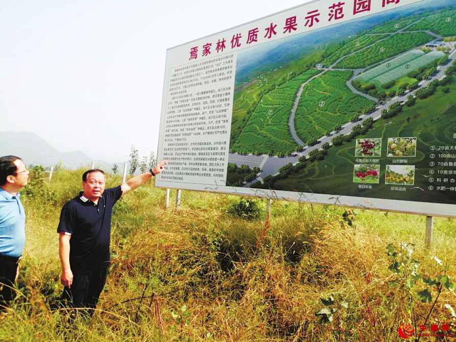 【走向我们的小康生活】奔走在山路上的服务队 济南市乡村振兴服务队莱芜区7队全力打造山区乡镇乡村振兴样板片区