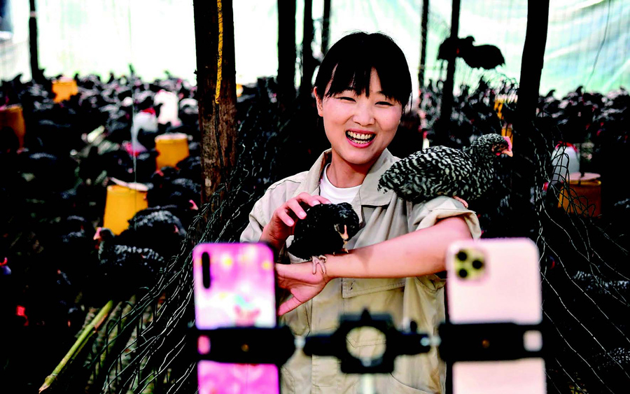 <b>社保有门槛、工伤无保障 灵活就业3大痛点怎么破</b>