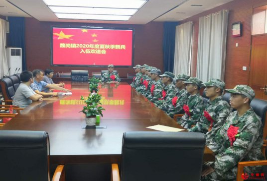 安徽省亳州市谯城区魏岗镇新兵入伍欢送会