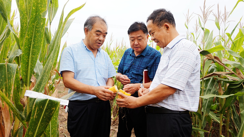 <b>到地头 助秋收</b>