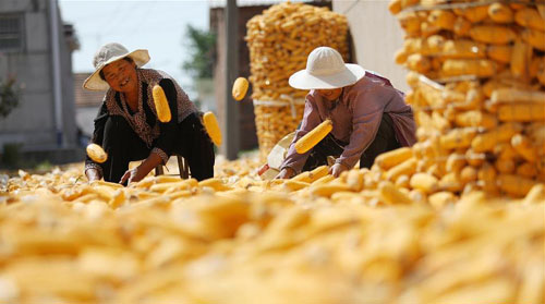 <b>收获在金秋</b>