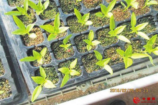 秋分 昼夜平分 农事大忙