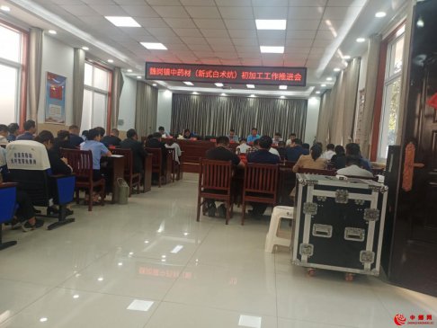 <b>安徽省魏岗镇开展：中药材（新式白术炕）初加工工作推进会</b>