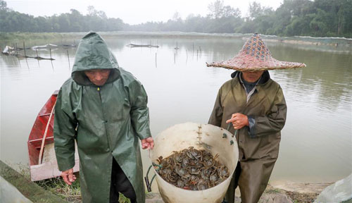 <b>特色扶贫产业助农增收</b>