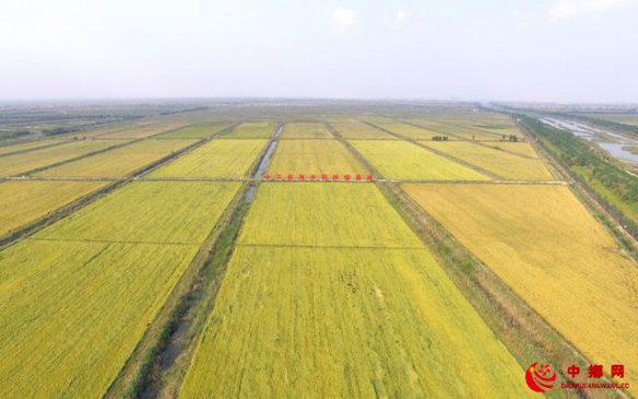 潍坊国家农业开放发展综合试验区将办农产品博览会