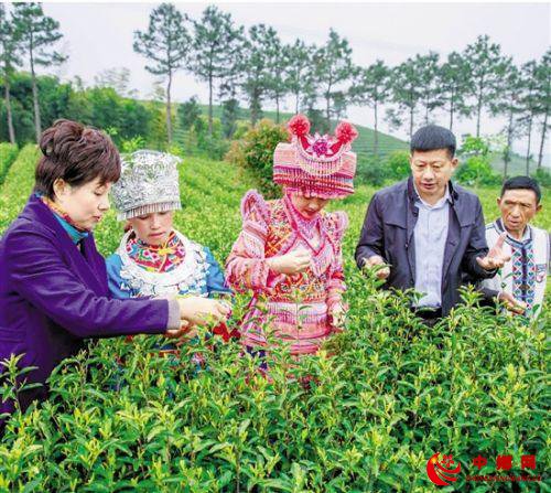 4afbfbedab64034fc62bb1ce2a28153608551d02