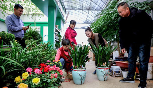 <b>浙江长兴：乡村“花木大会” 壮大美丽经济</b>