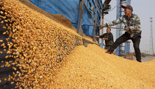 <b>黑龙江宁安： 粮食丰收加工忙</b>