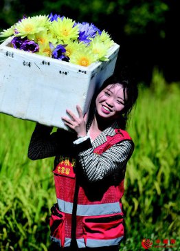 “花经济”如何“盘活”一个小山村