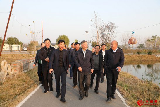 安徽颍东：市人大调研组到颍东调研乡村振兴战略实施情况