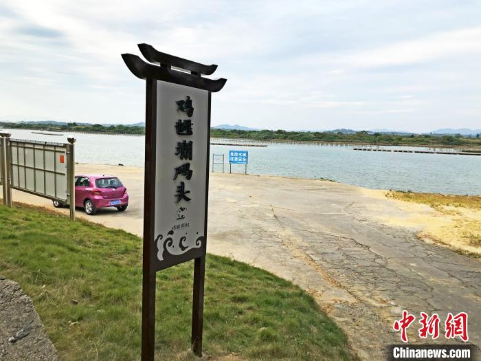 <b>广东一渔村靠三产融合致富 部分村民年收入超百万</b>