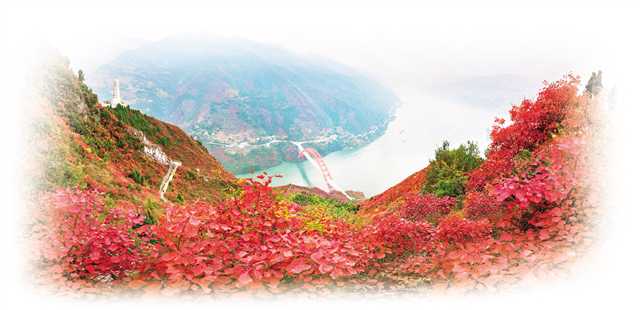 <b>江山红叶醉 巫山云雨飞</b>