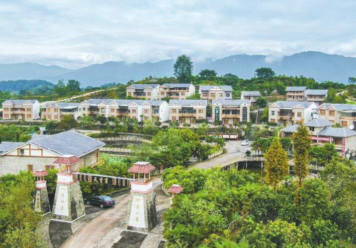 小蓝莓成了山沟里的“嗨生意”