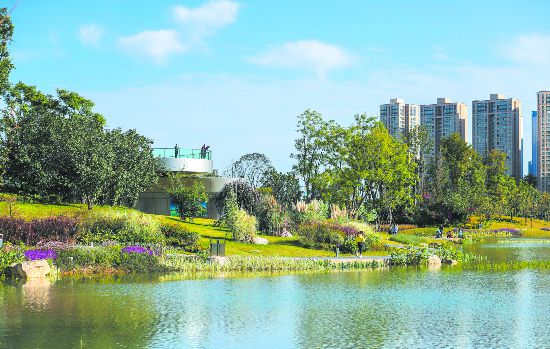 大运成都 公园城市新画卷