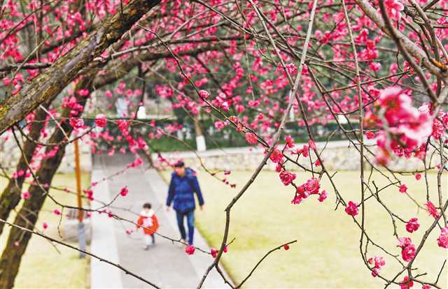 春天来了