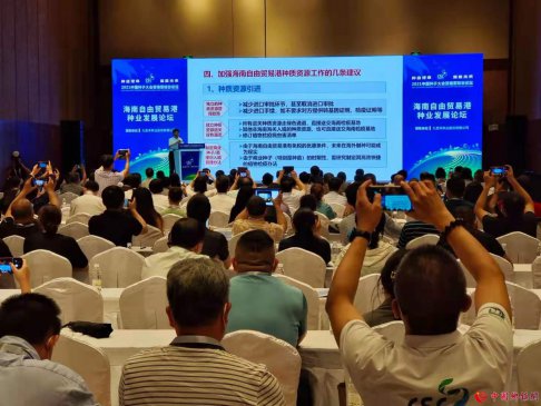 2021中国种子大会：业界呼吁加强育种领域知识产