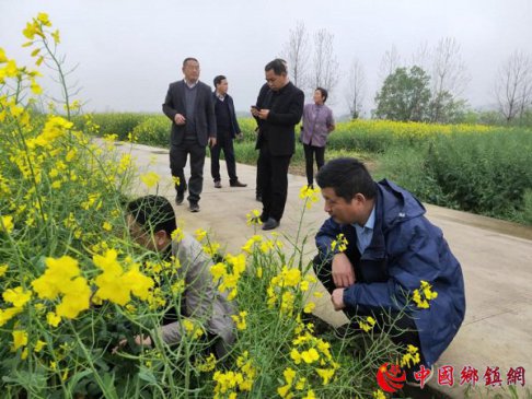 <strong>安徽殷汇镇圆满完成2020年耕地轮作试点任务</strong>