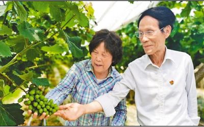 湖南省社科院原院长朱有志主动扎根乡村，谋发