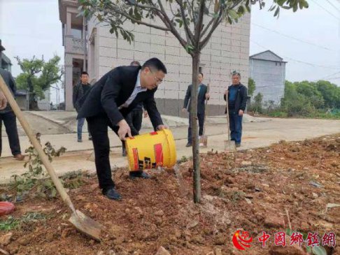 江西省宜春市高安市瑞州街道文昌村：播种绿色