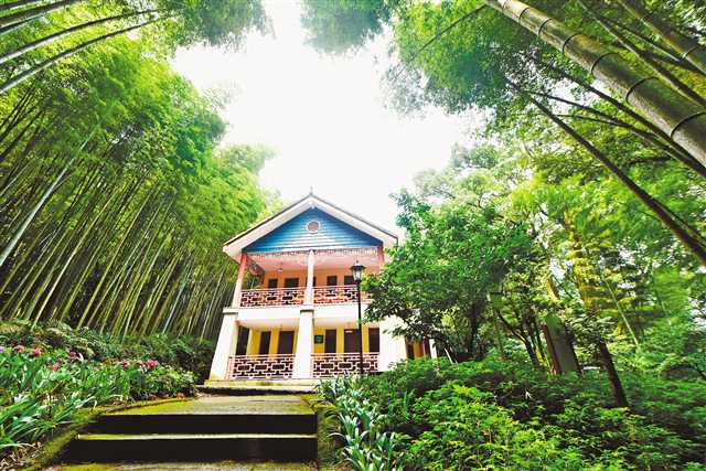 这里再现解放西南建设西南波澜壮阔的历史