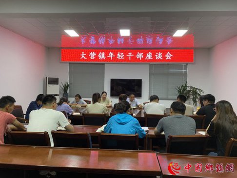 话青春梦想，叙使命担当-大营镇召开年轻干部座