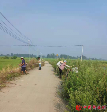 安徽桑涧镇：清理道路两侧杂草 提升农村人居环