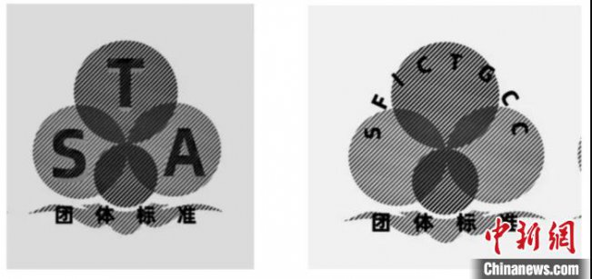 上海发布《一次性非医用平面口罩》团体标准 首