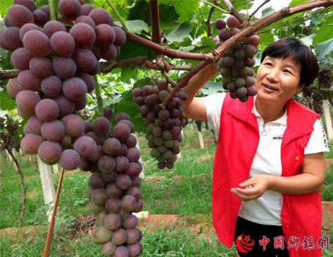 郯城：社区志愿“红马甲”为群众增光添彩
