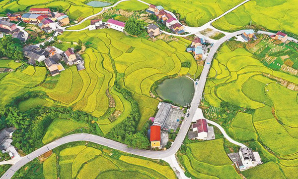 美丽乡村路