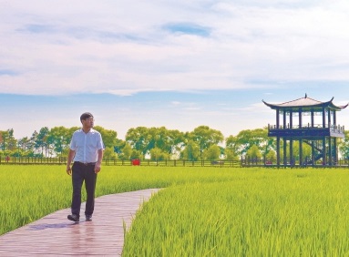 “全国十佳农民”乔文志的水稻王国