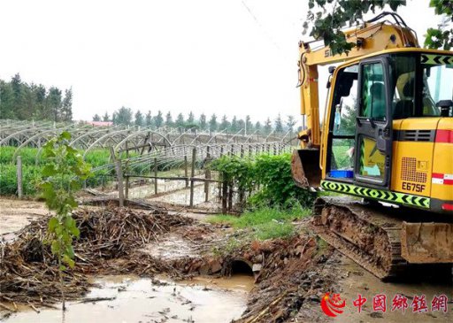 郯城：村街干部解难题排内涝