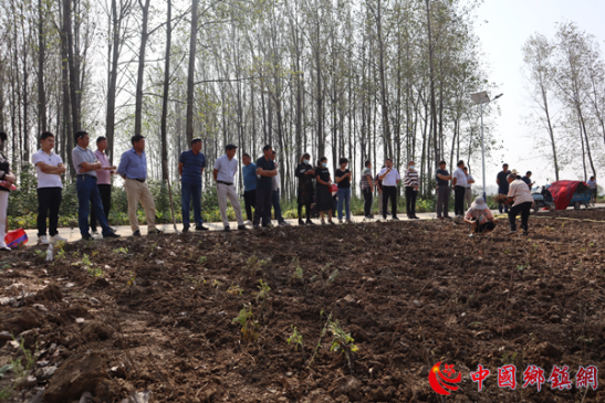 安徽刘集镇:召开艾草种植现场会 掀起艾草产业发