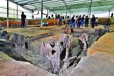 4700年前完整木结构建筑基础出土