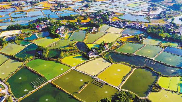 渔农旅融合发展 助力乡村振兴