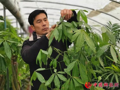<b>鲜花铺就致富路</b>