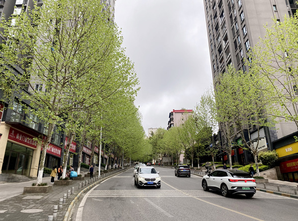 重庆涪陵：背街小巷 巷巷有特色