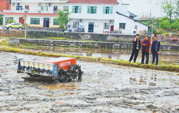 无人驾驶水稻直播机1小时可种10亩地