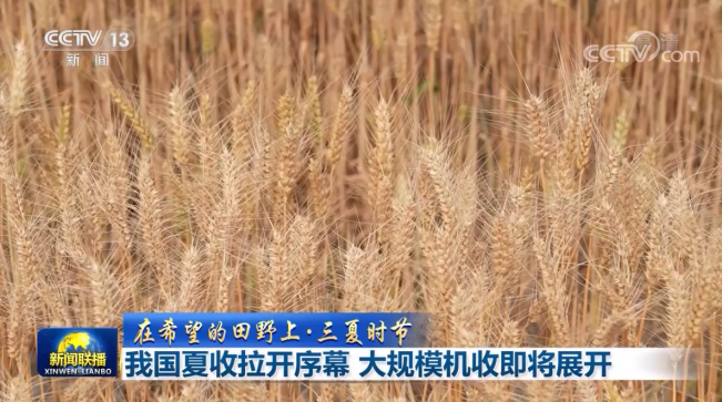 我国夏收拉开序幕 大规模机收即将展开
