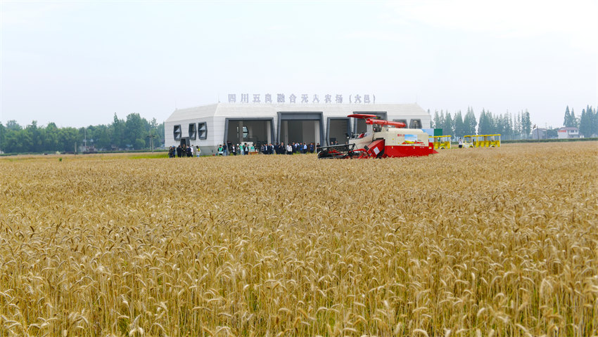 四川：抓发展、惠民生、保安全 奋力谱写现代化