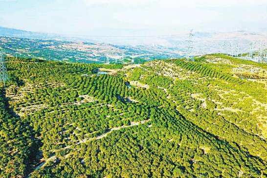 打造“天府第二粮仓” 安宁河流域“瞄准”水资