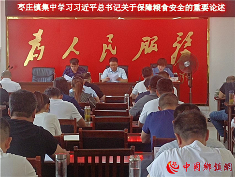 安徽阜阳枣庄镇集中学习习近平总书记关于保障