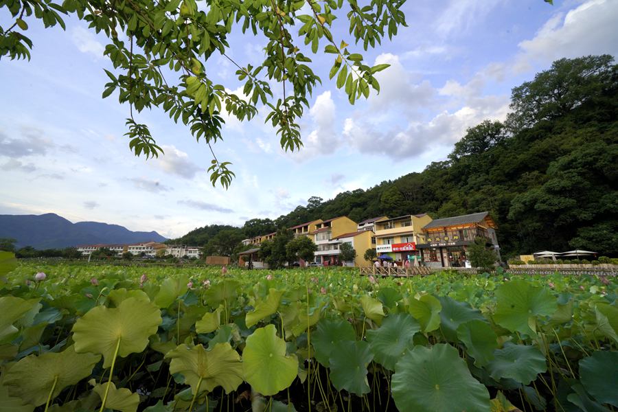 三明市沙县区夏茂镇俞邦村充分发挥“沙县小吃第一村”的品牌优势，把小吃产业与文旅产业深入融合，走出了一条产业融合型美丽乡村建设路子。周志鸿摄